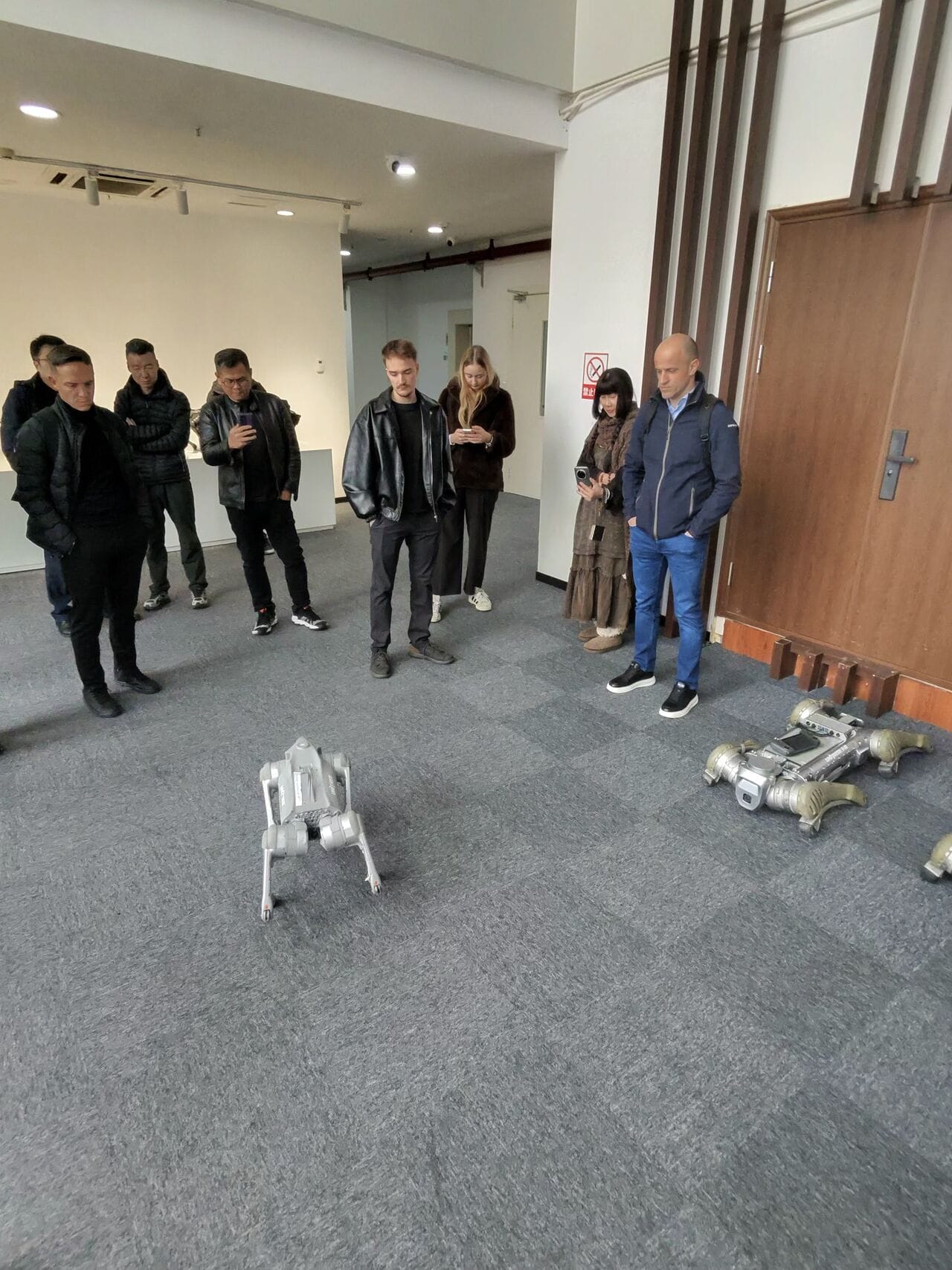 Unitree showroom with humanoid and quadruped robots